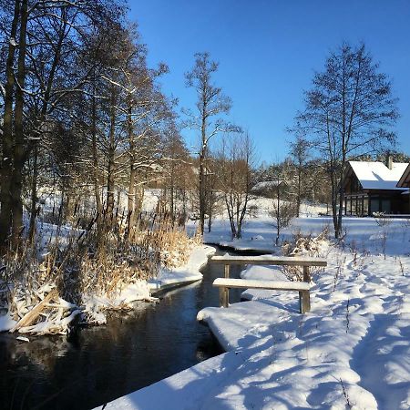 Atostogu Namelis Druskininkuose Villa Druskininkai Esterno foto